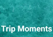 Trip Moments คืออะไร? แนะนำการใช้งาน Trip Moments