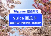 2024 日本交通卡 Suica 西瓜卡》購買方式/使用範圍/線上加值懶人包