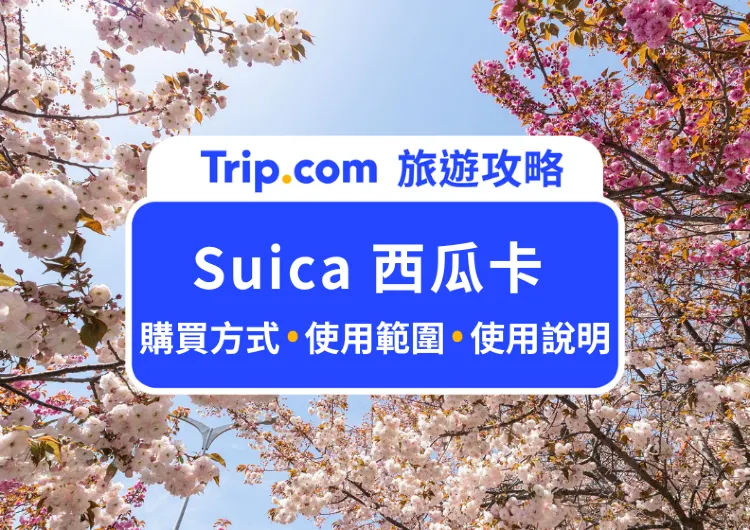 2024 日本交通卡 Suica 西瓜卡》購買方式/使用範圍/線上加值懶人包