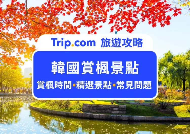 【2024 韓國賞楓】15+ 首爾賞楓熱門景點總整理！韓國楓葉預測時間看這篇