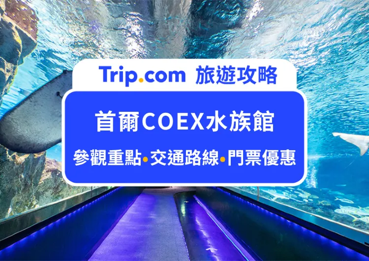 首爾市超大的室內水族館！2024COEX AQUARIUM水族館全攻略：門票推薦、交通路線、參觀重點，親子遊玩及雨天備案首選景點