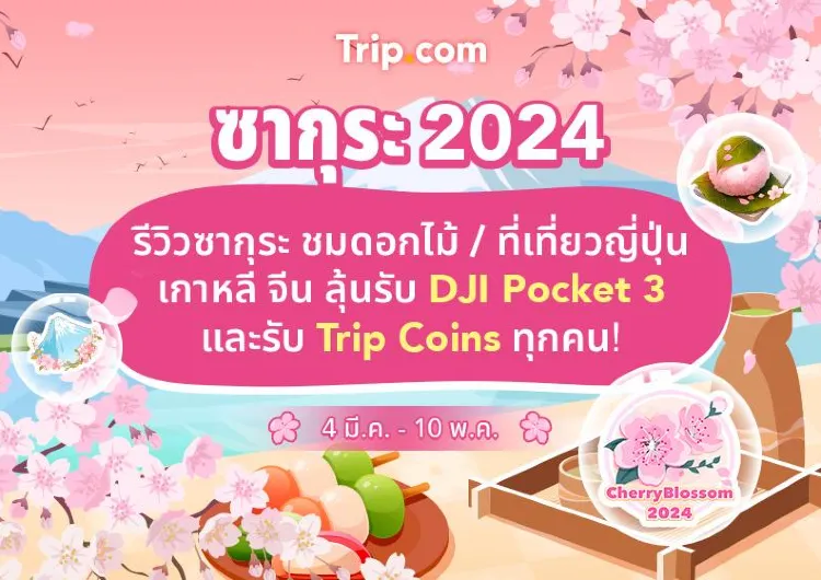 ซากุระ 2024 รีวิวที่เที่ยวซากุระ ที่เที่ยวญี่ปุ่น เกาหลี จีน ลุ้นรับรางวัลใหญ่