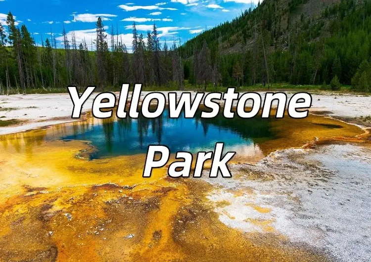 【Yellowstone Park2024】A Winter Wonderland Adventure！a guide to visit to theYellowstone Park