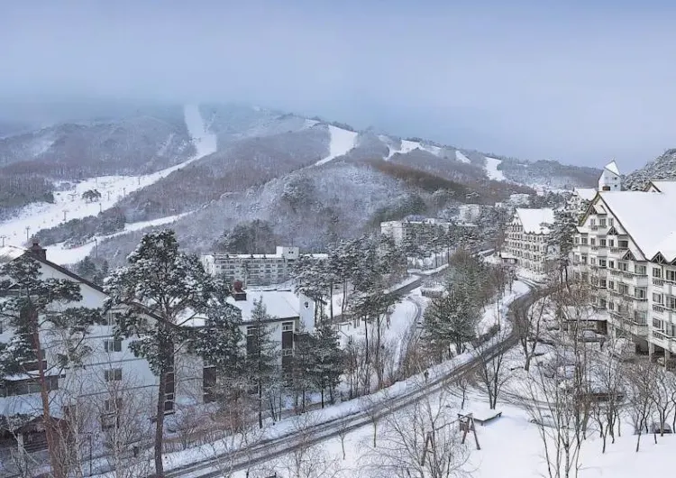 겨울 국내여행 어디로 갈까? 겨울 여행지 추천 BEST 10