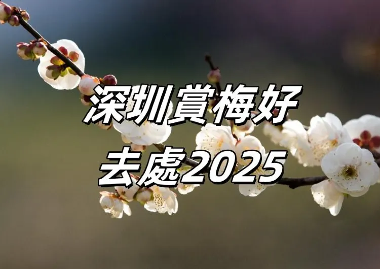 【深圳賞梅好去處2025】深圳冬日賞梅景點6大盤點，梅園位置、交通、花期信息、賞梅懶人包！