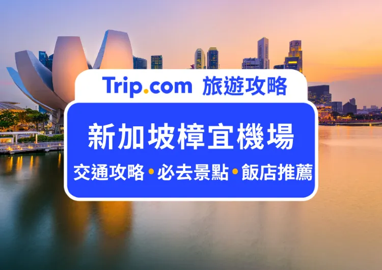 【 2025 新加坡樟宜機場攻略】如何前往市中心？交通卡、市區交通攻略，自由行也能輕鬆玩新加坡熱門景點