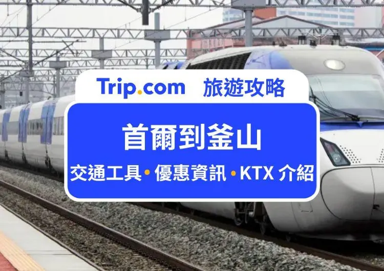 【2024 首爾到釜山交通】4 種首爾釜山往返交通方式、時刻表、優惠資訊一次看！