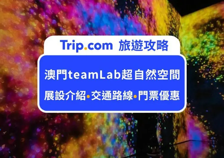 這樣拍和逛就對了！2025 澳門teamLab超自然空間完整攻略，門票價格、交通資訊、必逛展區、注意事項，帶你輕鬆打卡