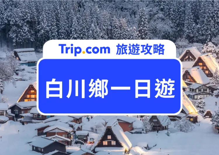 2025白川鄉一日遊怎麼玩？交通路線、超美下雪景點、美食一次幫你整理好