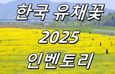 【한국 유채꽃】 2025년 봄한국 유채꽃 7종 인벤토리! “대담한 삶”, ‘힘내라’라는 꽃말은 삶에 대한 응원!