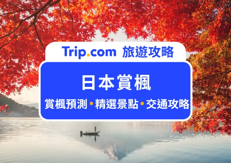 【 2024 日本賞楓】盤點 10 大熱門賞楓景點！超詳細日本楓葉預測資訊