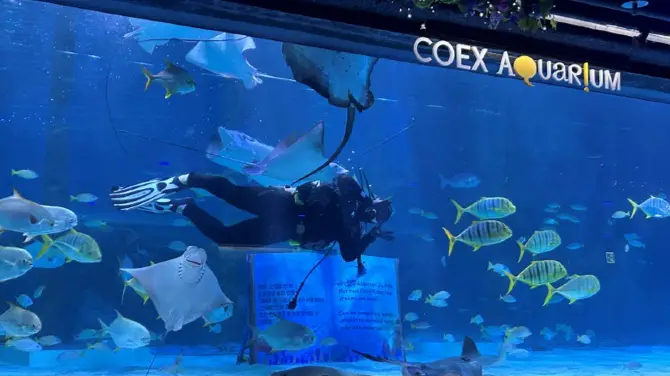 COEX 水族館