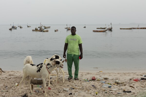 Ibrahima Diouf poses for a photo with two sheep in Thiaroye Sur Mer, Senegal, Friday, June 14, 2024 on the beach next to his home. The upcoming holiday of Eid al-Adha should have been a joyful occasion for millions of Muslims in Senegal. But skyrocketing prices, record unemployment and growing inequalities have turned Tabaski — as the holiday is locally known — into a source of anguish for many in this West African nation. Diouf, a 48-year-old fisherman, said he could not eat or sleep properly because he was so worried about the financial burden of the holiday. (AP Photo/Stefan Kleinowitz)