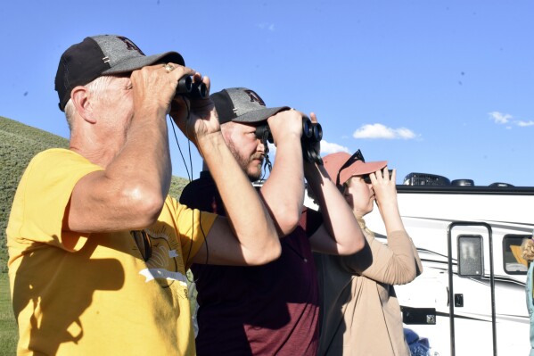 Visitors to Yellowstone National Park are seen looking for wildlife through binoculars in the Lamar Valley area of Yellowstone National Park, Thursday, June 13, 2024, near Mammoth Hot Springs, Wyo. The park has about 5,000 buffalo, or bison. (AP Photo/Matthew Brown)