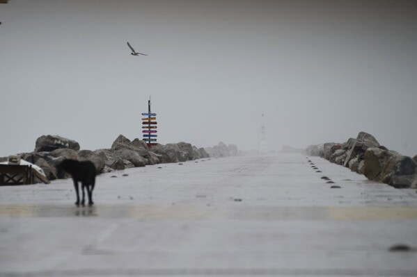 A bird flies over a deserted pier in Miramar, as Tropical Storm Alberto, the first named storm of the hurricane season, formed in the southwestern Gulf of Mexico, June 19, 2024. (AP Photo/Fabian Melendez)