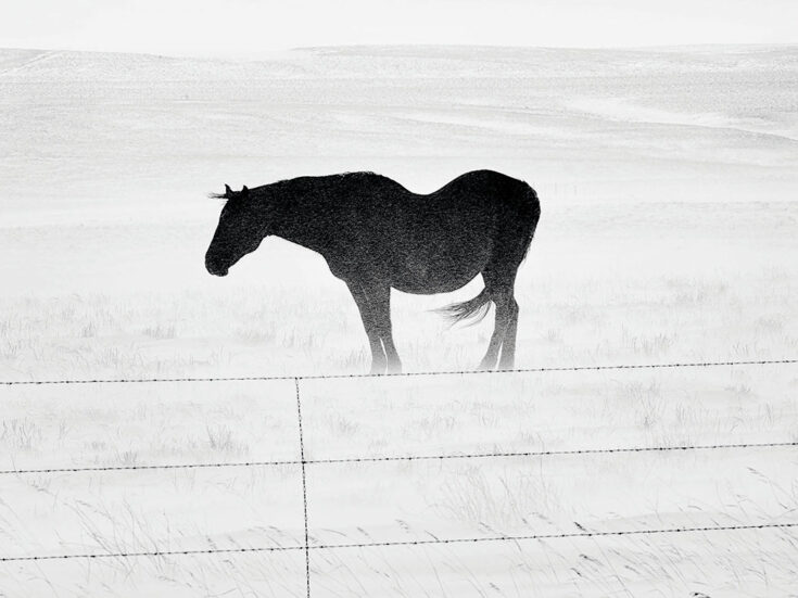 Romance on the run in the Old West