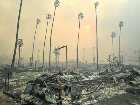 Letter from Los Angeles: My city is burning