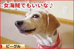 にほんブログ村 犬ブログ ビーグルへ