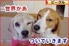 にほんブログ村 犬ブログ ビーグルへ