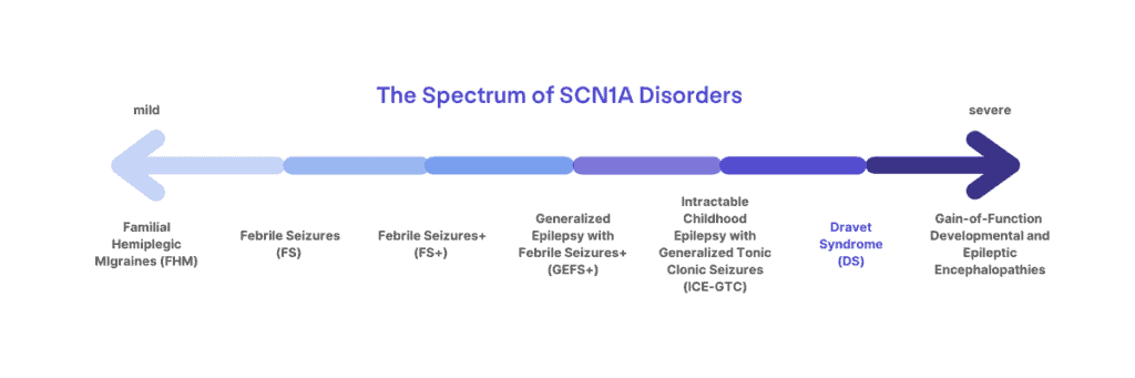 Dravet Spectrum Graphic 2