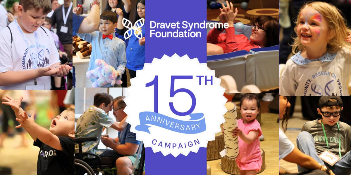 15 years of DSF campaign banner