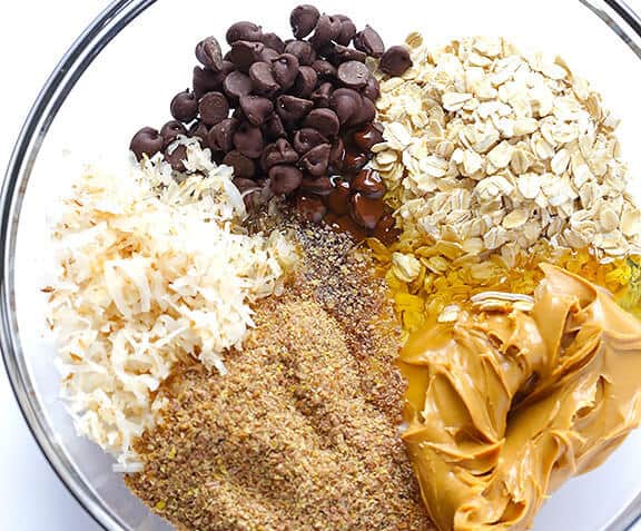 No Bake Energy Bites Raw Ingredients 