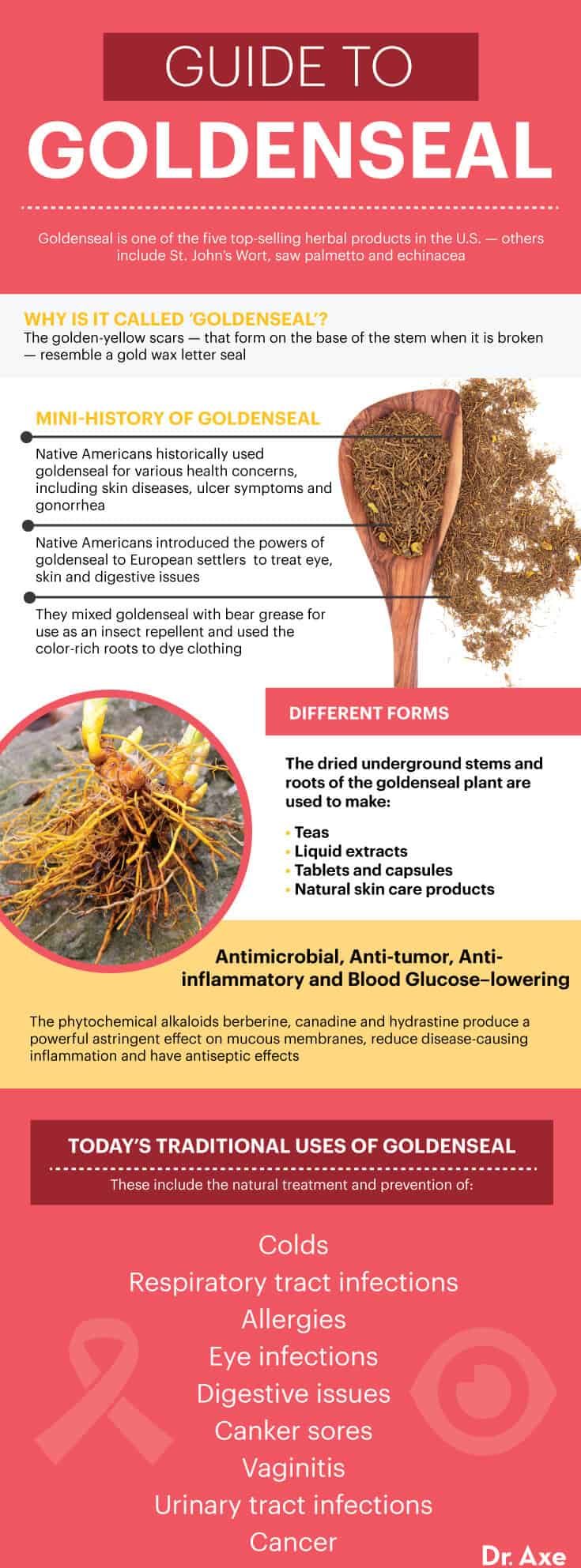 Guide to goldenseal - Dr. Axe