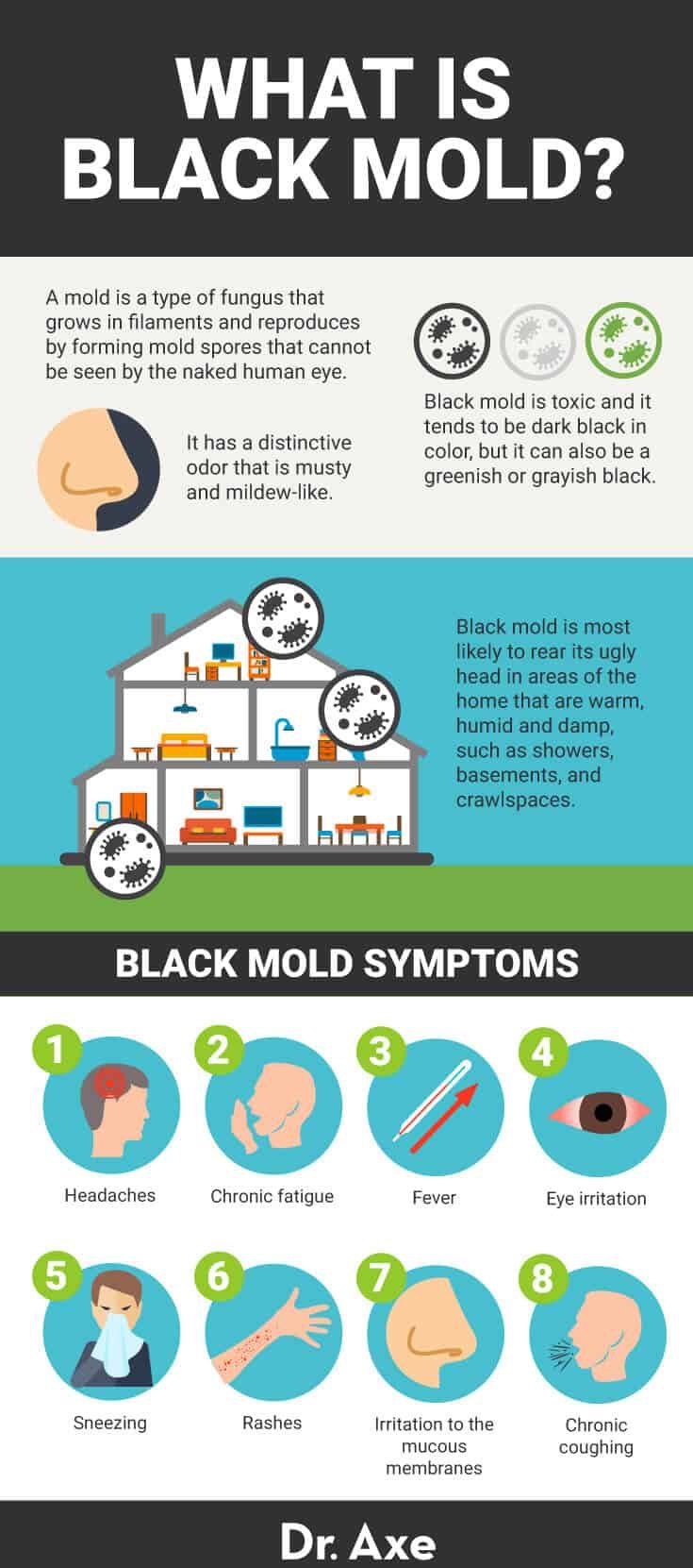 What is black mold? - Dr. Axe