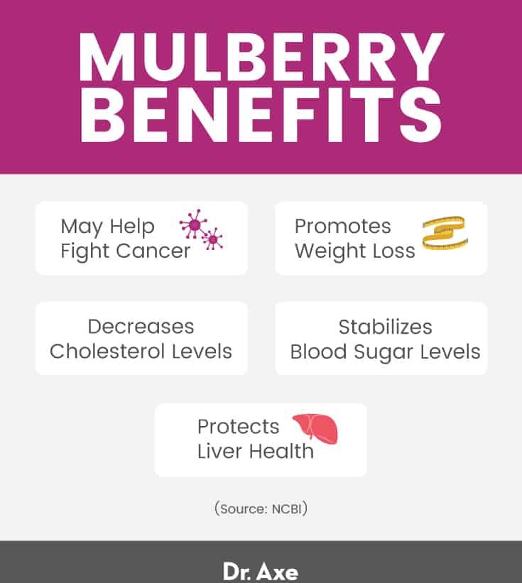 Mulberry benefits - Dr. Axe