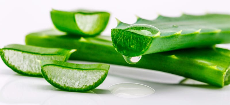 Aloe vera benefits