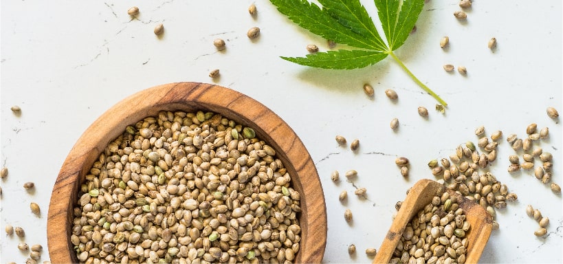 Hemp seeds benefits