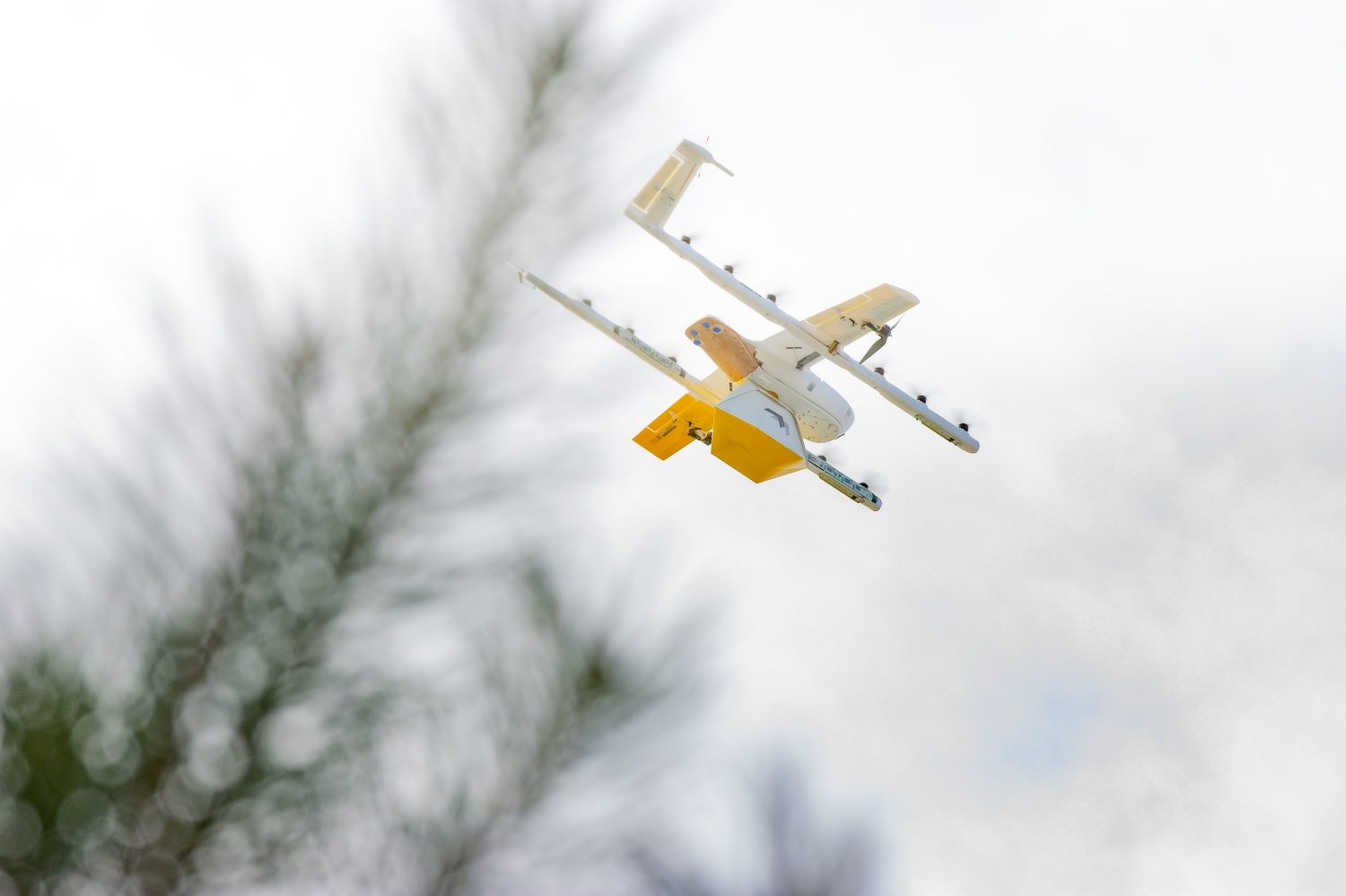 wing drone delivery