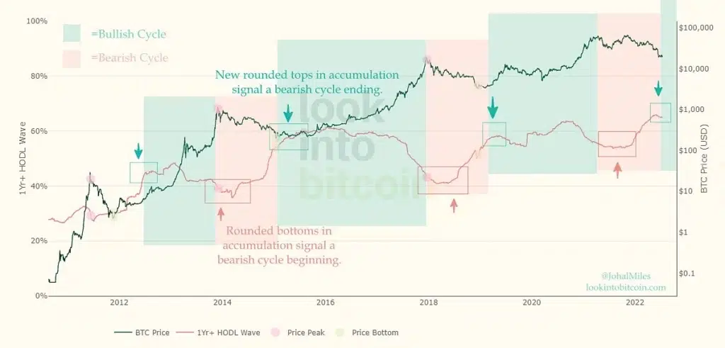 crypto bear markets