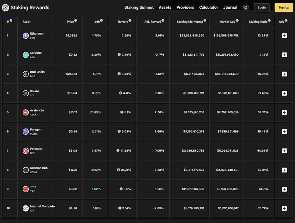 crypto bear markets