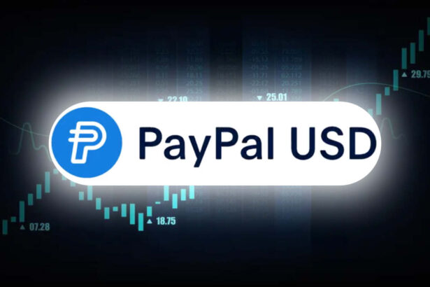 Paypal usd