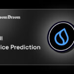 Sui Price Prediction