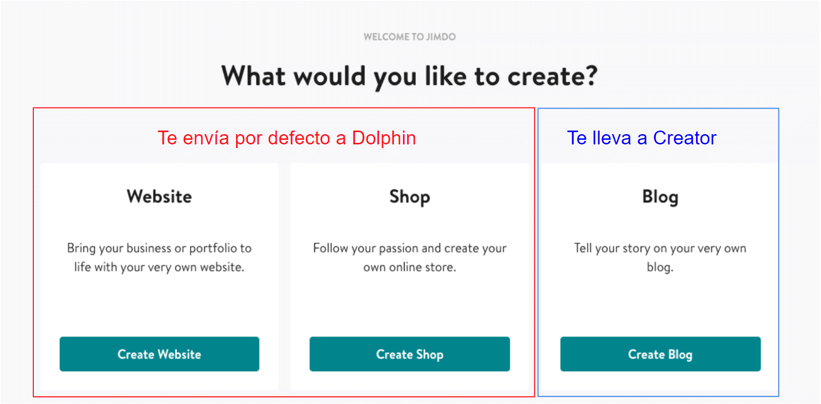 Jimdo Creator vs Dolphin decision screen