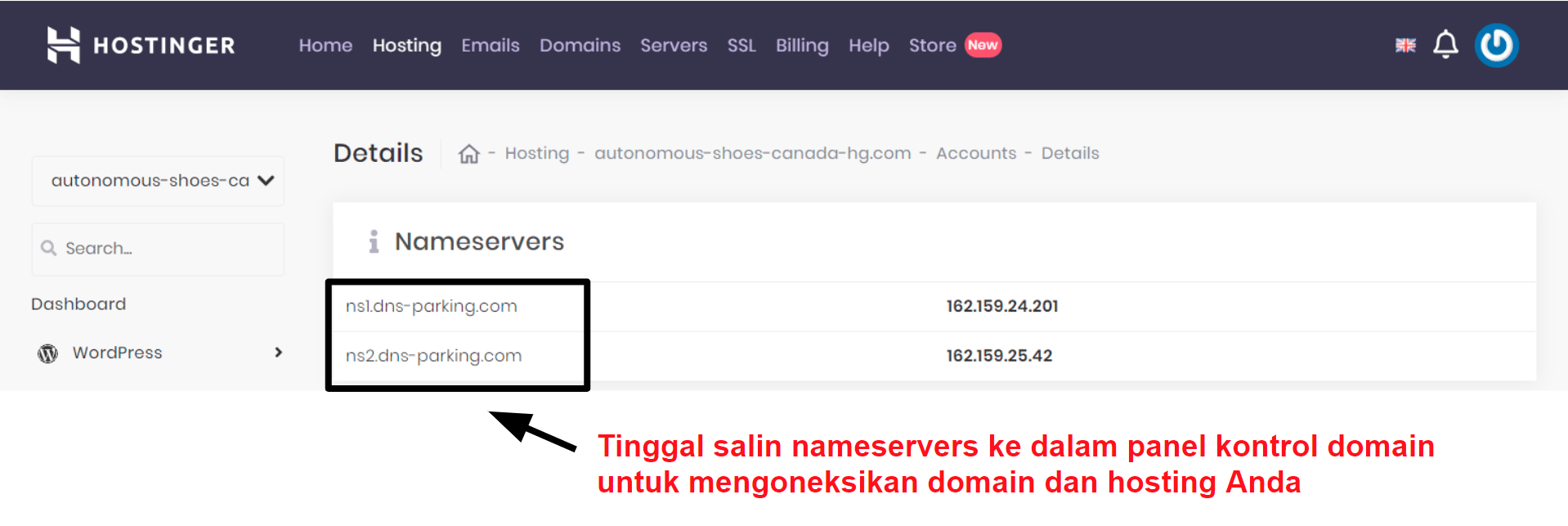 Hostinger domain connection information_ID