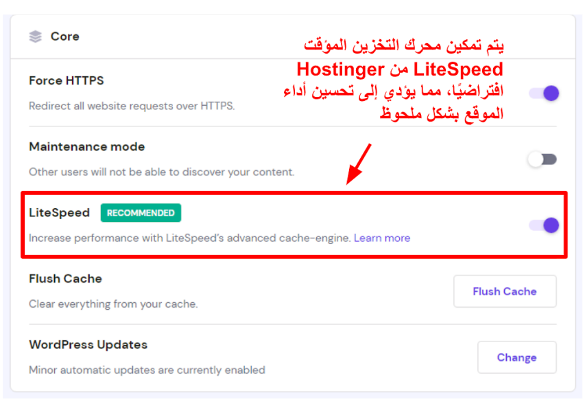 Screenshot displaying Hostinger's site settings with LiteSpeed enabled.