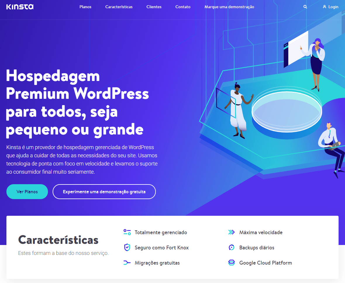 The Kinsta home page