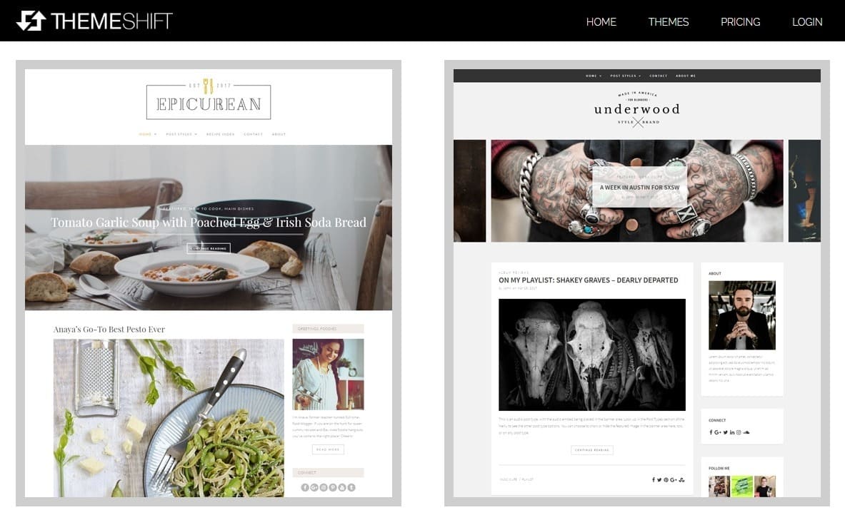 5 Top WordPress Theme Marketplaces-image3