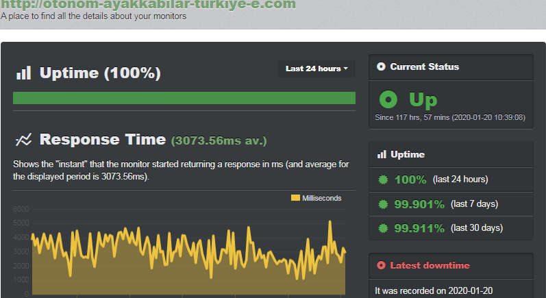 İsimtescil çalışma süresi uptime