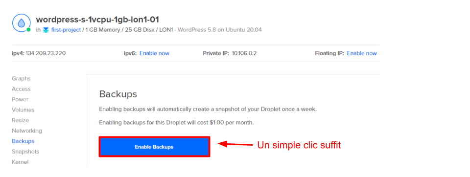 Copy of Copy for Translation_ How to Set Up a VPS Server With DigitalOcean __IMAGES__ (1)