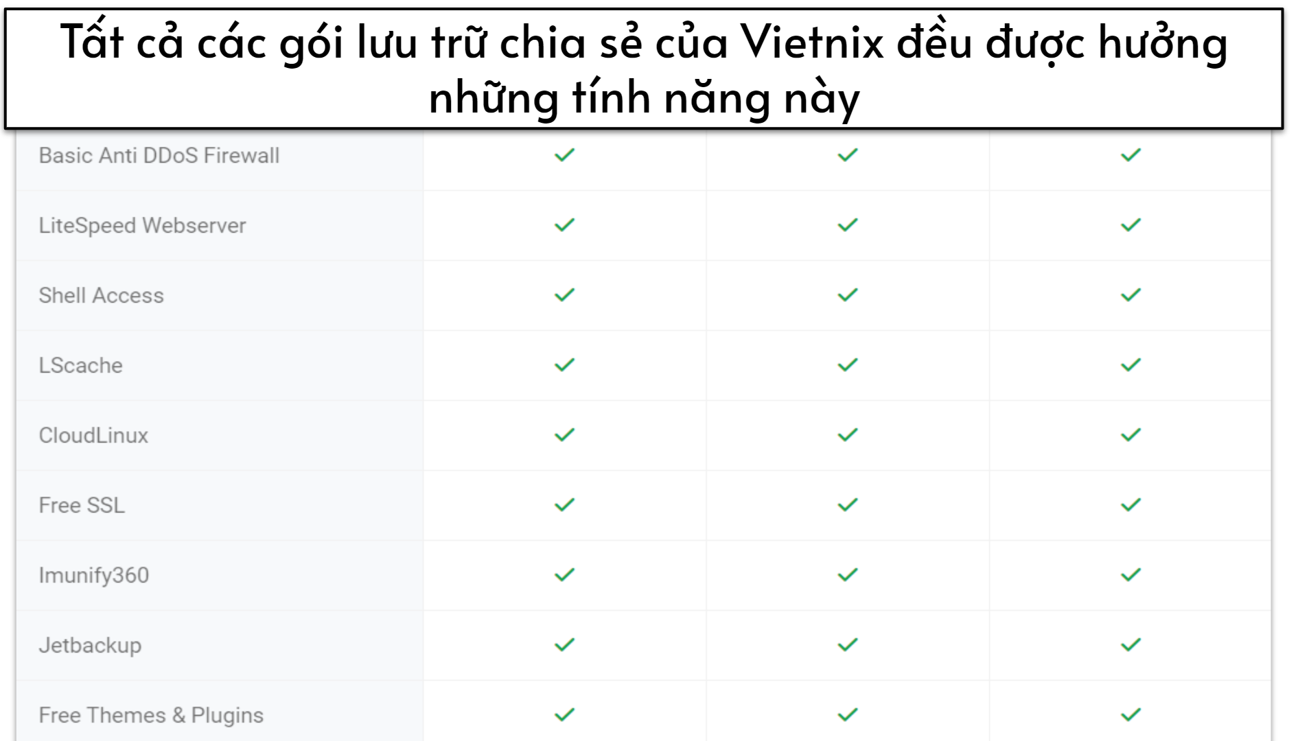 -new-vietnix-review-vietnamese-hosting-for-every-budget-current-year