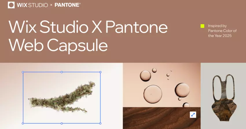 Wix Releases Pantone Color of the Year 2025 Web Capsule