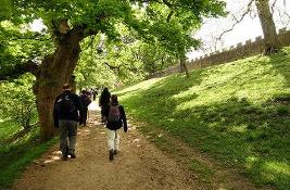 People in a park