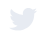 Twitter Footer Icon