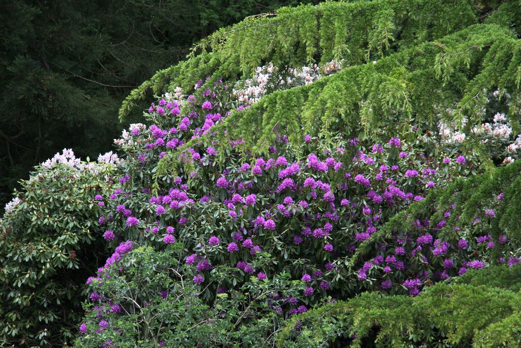 Burnhopeside Hall 16 - Gallery