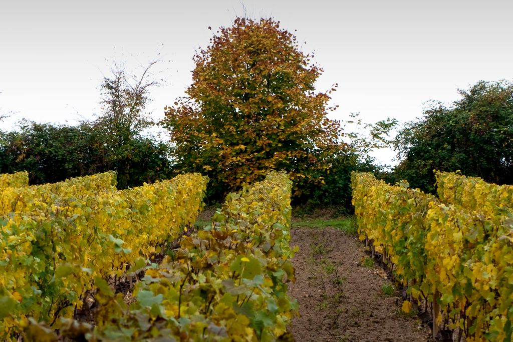 Le Clos de Fontenay - Gîte 13 - Gallery