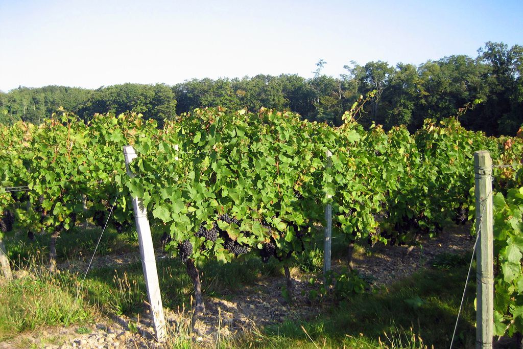 Le Clos de Fontenay - Gîte 11 - Gallery